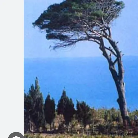 住宿加早餐酒店 La Casa Dei Greci 阿格里真托